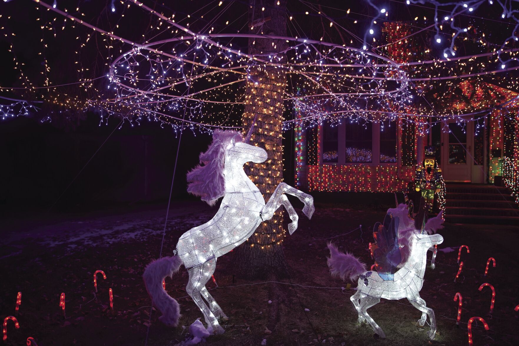 12-23-2020 Christmas Lights Stand Alones 001.jpg